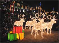 Photo: Lights in George Square Glasgow.