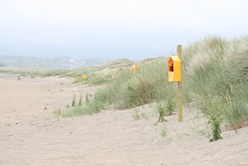 Photo: Sand dunes on Irish coast.