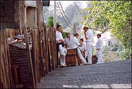 Photo: Madiera toboggan men.