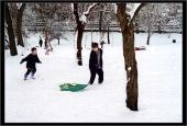 Botanic Gardens Snow fun.
