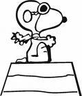 Photo: snoopy flying.