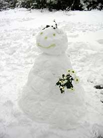 Photo: Snowman.