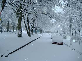 Photo: Snow scene Great George Street.