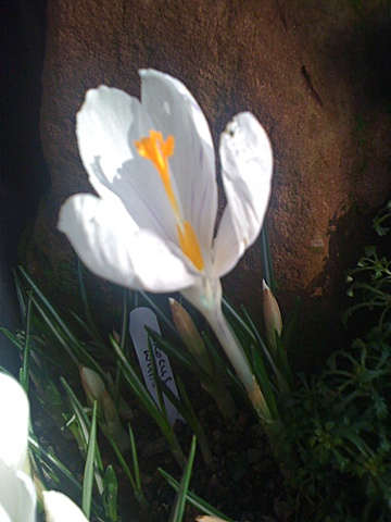 Spring Glasgow West End. Photo: Spring Glasgow West End.