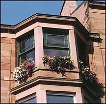 Photo: Tenement window box.