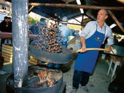 Photo: chestnuts.