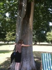 Photo: tree hugging.
