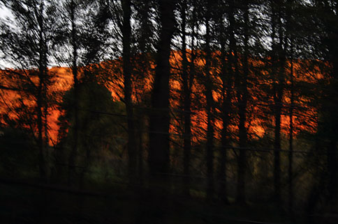 Photo: The red coloured hills through the trees.
