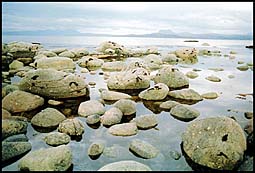 Photo: Udrigle sea and rocks.