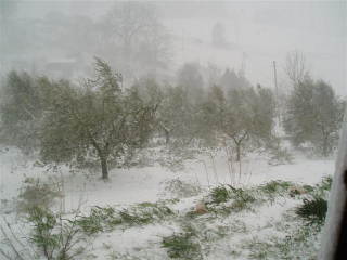 Photo: umbrian whiteout.