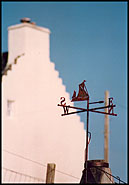 Photo: Weather vane.
