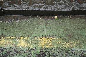 Photo: Wet road markings.