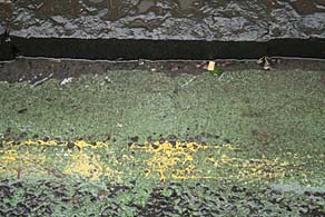Wet road markings. Photo: Wet road markings.