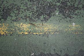 Wet road markings. Photo: Wet road markings.