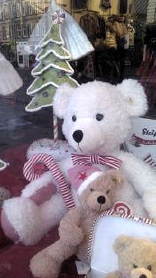 Photo: white teddy.