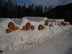 Photo: Xmas Logs.