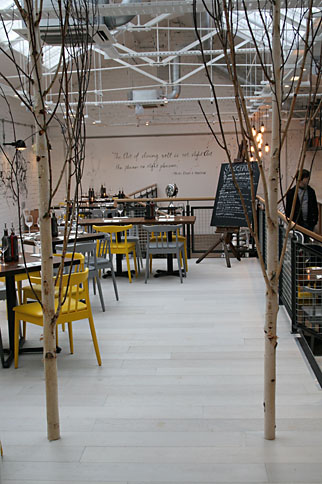 Photo: Trees in Zizzi restaurant.