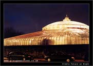 Kibble Palace at Night
