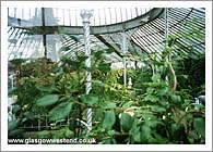 Inside the Kibble Palace
