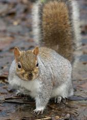 Photo: hello!.