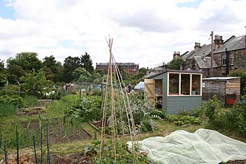 Photo: Allotment open day.