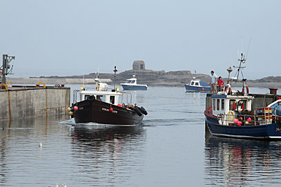 Photo: Boats in the harbour.
