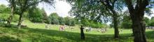 Photo: park.
