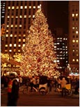 Photo: New York City Christmas Tree.