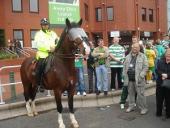 Photo: mounted police celtic park.
