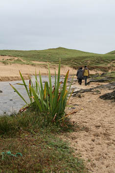 Photo: Out for walk in Colonsay.