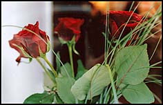 Photo: Red roses at christmas.