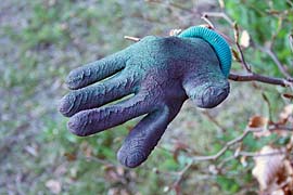 Photo: Lost Rubber Gardening Glove.