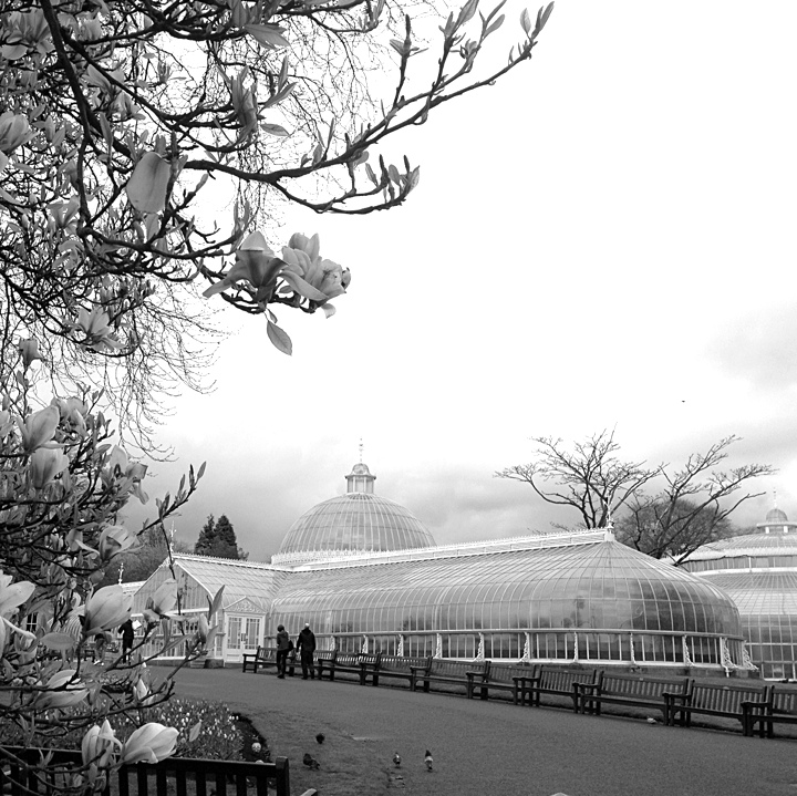 Botanic Gardens