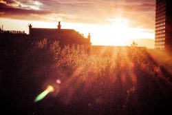 Sunset on the balcony