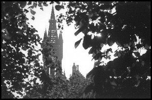 gutowerthroughtreesbw