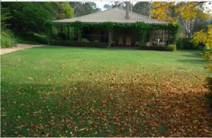 park