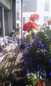 balcony im