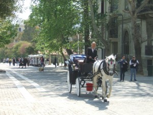 horse and cart