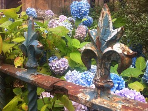Cast Iron and Flowers