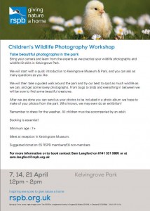 wildlife photography
