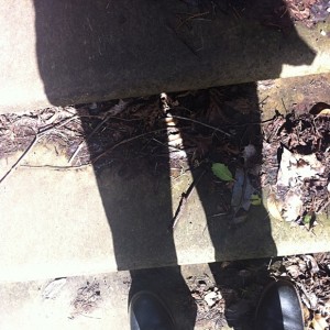 Legs and steps