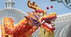 West End Festival Parade Dragon
