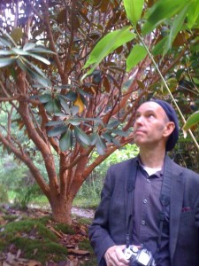 jim trees