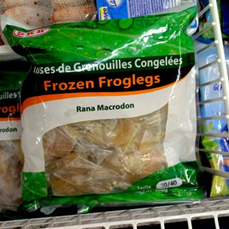 last para froggies