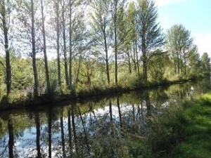 Canal
