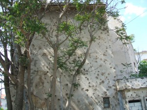 DSCF1168