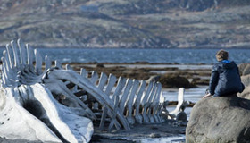Leviathan_film_detail