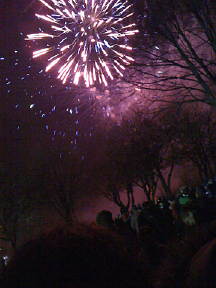 fireworksnight0112sml3726-9036