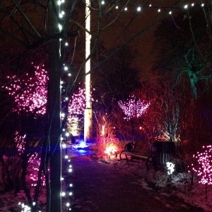 beautiful path