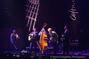 The Punch Brothers
